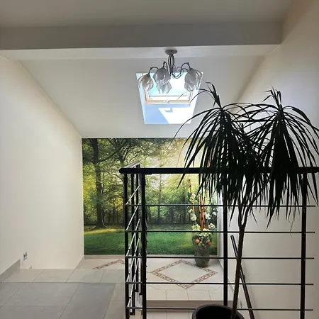 Hotelowe Wiktoria Guest house