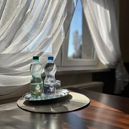 Hotelowe Wiktoria Guest house Goczalkowice-Zdroj