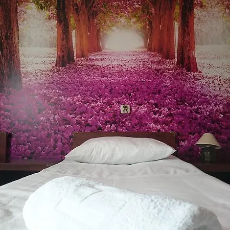 Hotelowe Wiktoria Goczałkowice-Zdrój