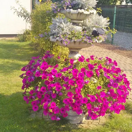 Hotelowe Wiktoria Gasthof 3*