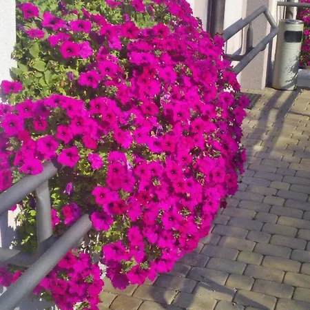 Hotelowe Wiktoria 3* Goczałkowice-Zdrój