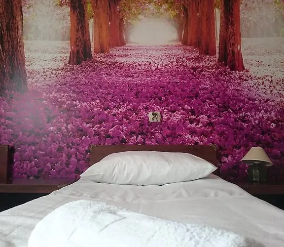 Hotelowe Wiktoria Goczałkowice-Zdrój