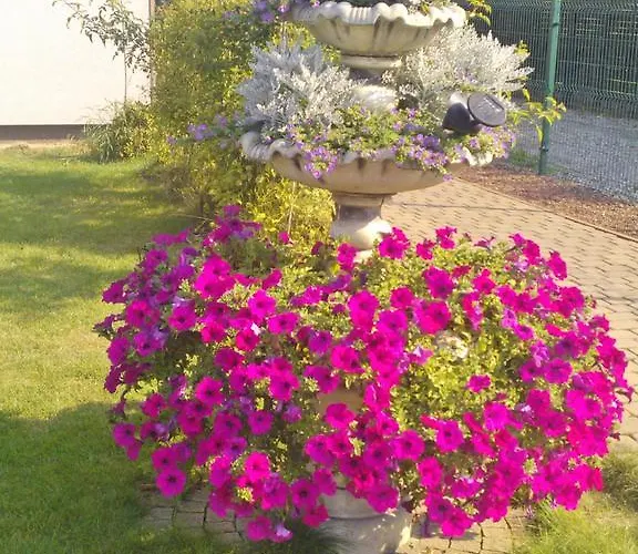 Hotelowe Wiktoria בית הארחה 3*