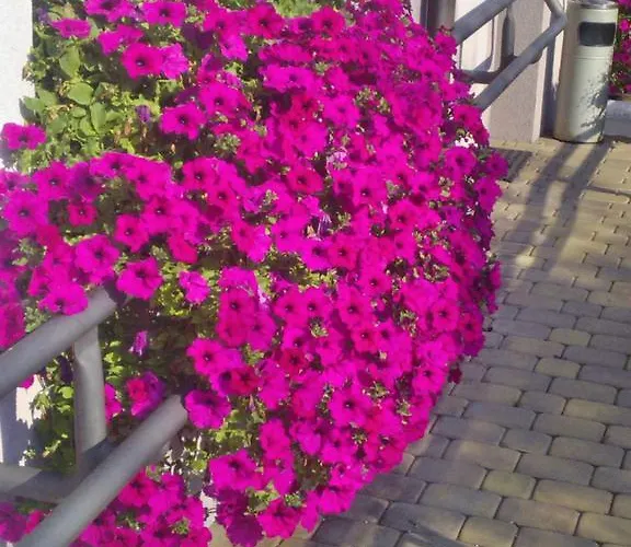 Hotelowe Wiktoria 3* Goczałkowice-Zdrój